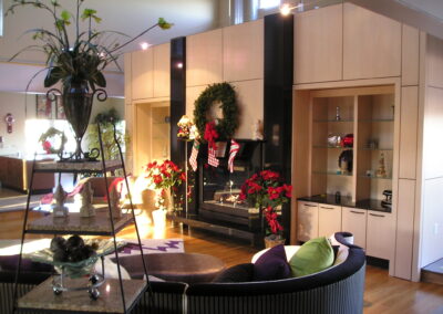 new gas fireplace in living room